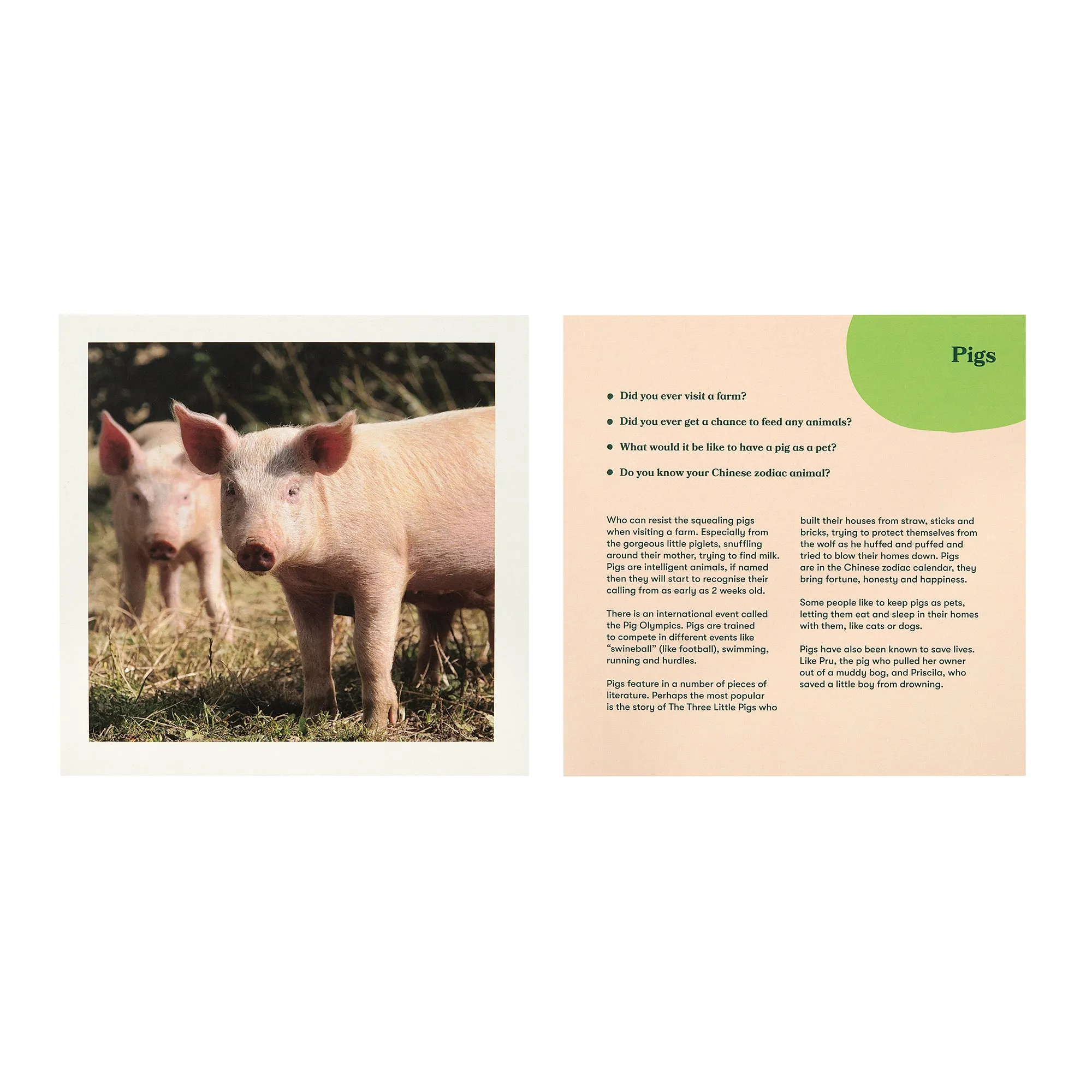 Animals Album
